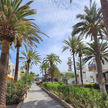 Apartment Tenerife Sunshine South By La Ballena