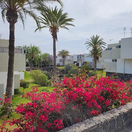 Tenerife Sunshine South By La Ballena * Arona (Tenerife)